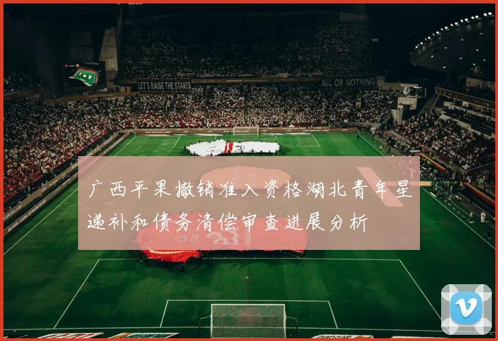 广西平果撤销准入资格湖北青年星递补和债务清偿审查进展分析